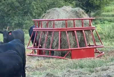 Red single bale feeder with insert holding a round bale, with black cattle feeding