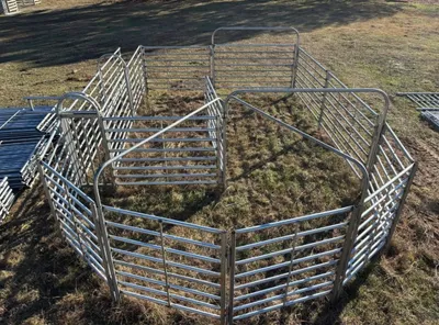 Holland cattle handling system: sweep tub, alley and holding pen, seen from above