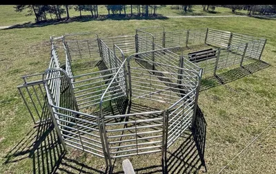 Alsobrook cattle handling system with 180-degree sweep tub and alley, seen from above