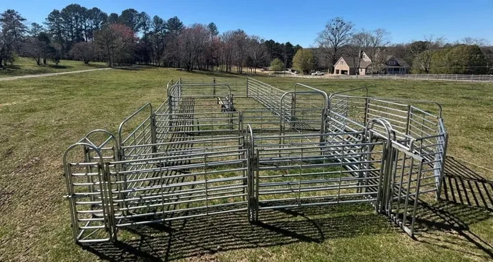 Alsobrook system catch pen and holding pens of galvanized panels