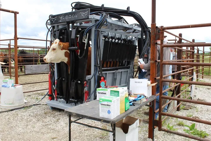 New Synergy Ag Legacy GP Commercial Cattle Chute with Gas Power Unit, photo 4 of 6