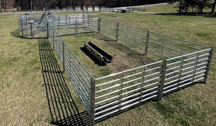 Alsobrook system holding pen with a feed trough inside